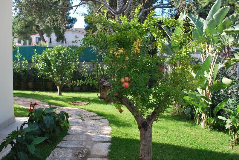 No Tag Urban Hotel Trani Exterior foto